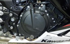 KAWASAKI NINJA 250 EX250P