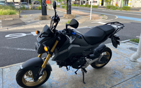 HONDA GROM JC75