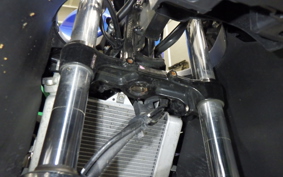 SUZUKI GSX-R125 2025 DL33B