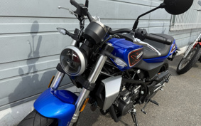 HARLEY LWZX350 2025 W3C