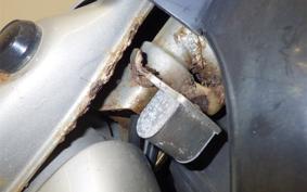 HONDA LITTLE CUB AA01