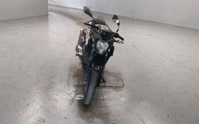 KAWASAKI Z250 SL BR250E