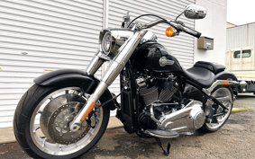 HARLEY FLFBS 2025 YGK