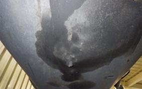 YAMAHA CYGNUS 125 X 2 SE44J