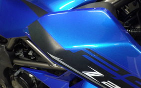 KAWASAKI Z250 SL 2009 BR250E