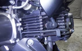 KAWASAKI Z125 PRO 2023 BR125H