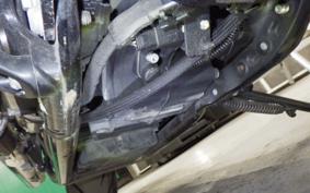 HARLEY FLSB 1750 2019