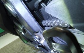 KAWASAKI NINJA 250 EX250L