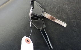 KAWASAKI ELIMINATOR400-3 2025 EL400A