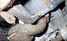 HONDA DIO GEN 2 AF27