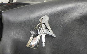 KAWASAKI ELIMINATOR 250 V VN250A