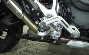 TRIUMPH TIGER 1200 GT PRO 2024