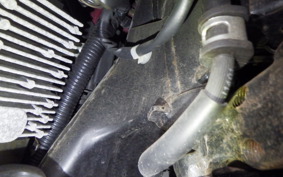 HONDA LEAD 125 JF45
