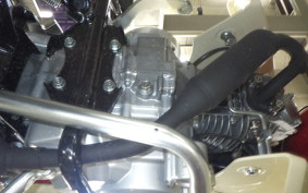 HONDA C110 SUPER CUB JA59