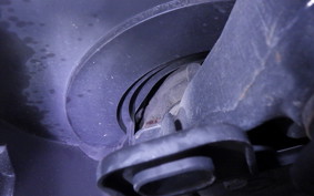 SUZUKI ｽｳｨｯｼｭ125 2023 DV12B