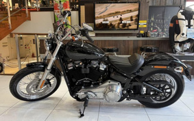 HARLEY FXST1340-1450 2020 BVJ
