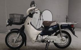 HONDA SUPER CUB110 JA10
