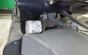 HONDA ZOOMER 2025 AF58