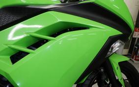 KAWASAKI NINJA 250 EX250L