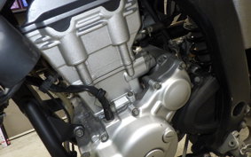 YAMAHA WR250X 2026 DG15J