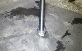 KAWASAKI NINJA 250 EX250P