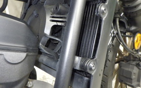 HONDA REBEL 250  S E-clutch 2022 MC49