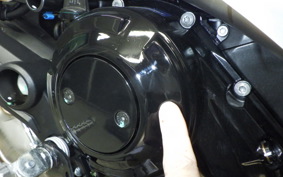 DUCATI SCRAMBLERアイコンダー 2025