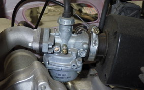 OTHER UNREGISTERED MODEL by BDS TRIKE125 2006