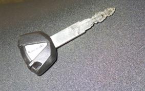 KAWASAKI NINJA 1000 A 2016