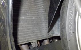 HONDA CBR1100XX 2001