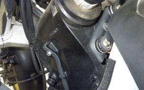 SUZUKI Vｽﾄﾛｰﾑ650XTA 2022 C733M