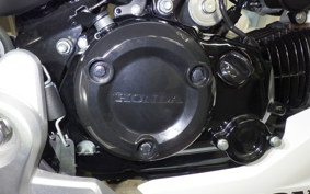 HONDA ｸﾞﾛﾑ-2 JC92