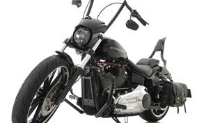HARLEY FXBRS 2021 YHK