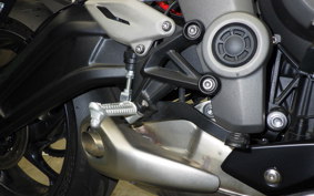 TRIUMPH DAYTONA 660 2024