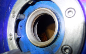 SUZUKI RGV250 Gamma 2025 VJ22A