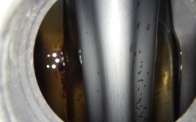 HONDA TLM200R 2022 MD15