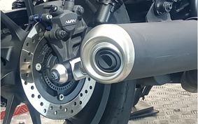 HONDA  REBEL 250 ABS MC49