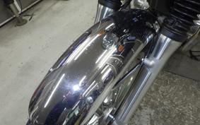 KAWASAKI W800 2023 EJ800E