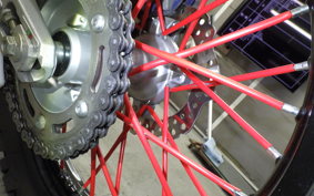 HONDA CRF250 GEN 2 RALLY 2024 MD47