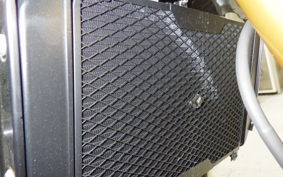 KAWASAKI Z900RS SE 2025