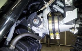 OTHER +ﾏｯﾄﾓｰﾀｰｻｲｸﾙ250 2007