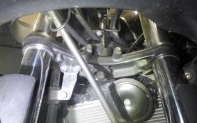 KAWASAKI NINJA 250R 2025 EX250K