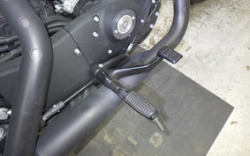 HARLEY XL883N 2015