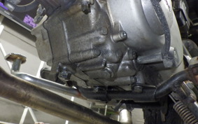 HONDA GORILLA 2025 Z50J