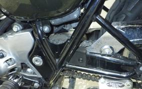 KAWASAKI W800 2016 EJ800A