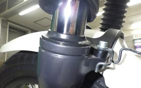 OTHER +ENFIELD ｽｸﾗﾑ411 2024