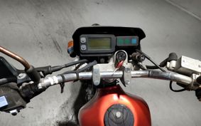 KAWASAKI SUPER SHERPA KL250G