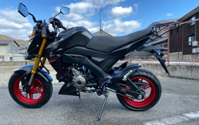 KAWASAKI Z125 PRO BR125H