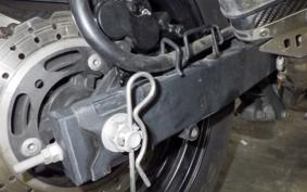KAWASAKI NINJA 250 EX250L