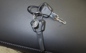 TRIUMPH SPEED TWIN 2025